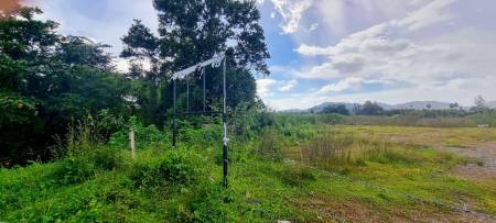 27,955.6 SQ.M. Land for Sale In Thalang