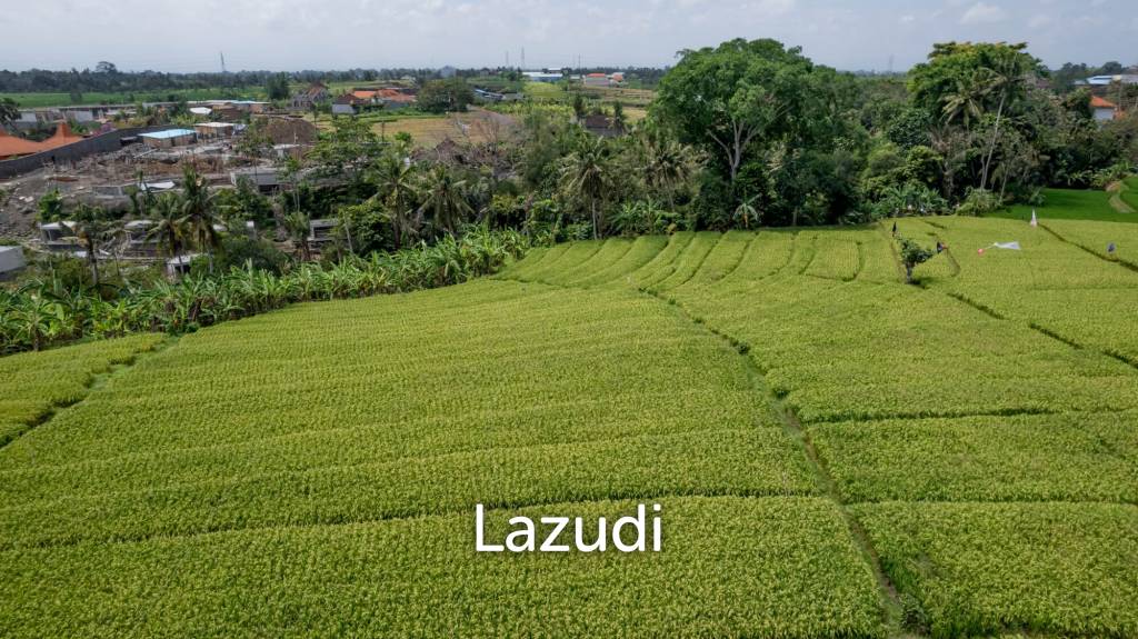 PARADISE FOUND: EXQUISITE MUNGGU RETREAT WITH PANORAMIC MOUNTAIN VIEWS