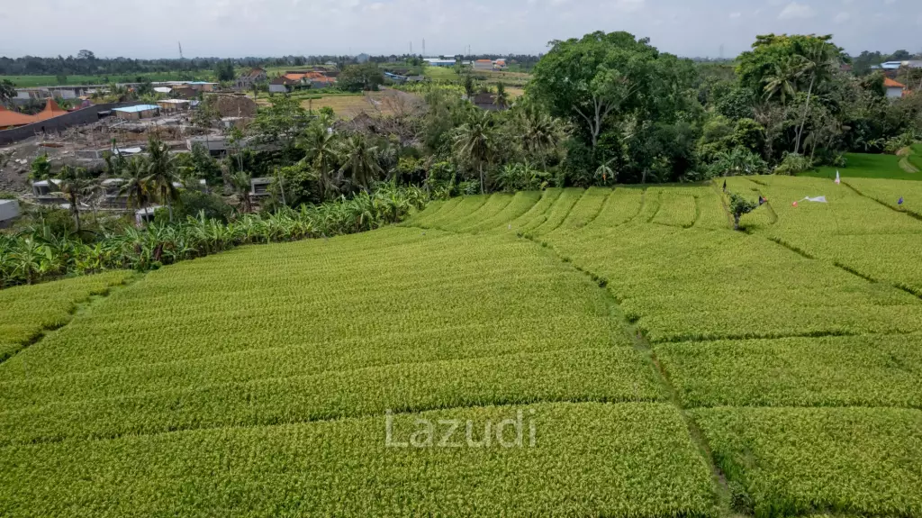 PARADISE FOUND: EXQUISITE MUNGGU RETREAT WITH PANORAMIC MOUNTAIN VIEWS