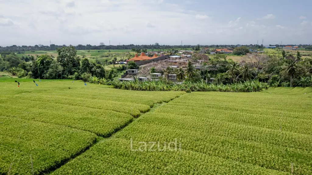 PARADISE FOUND: EXQUISITE MUNGGU RETREAT WITH PANORAMIC MOUNTAIN VIEWS