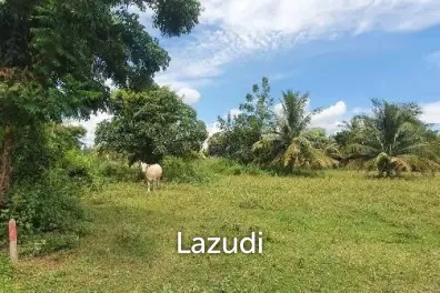1-3-10.1 Rai Land Plot 2 Mins To The Beach
