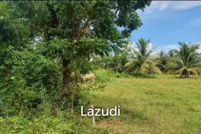 1-3-10.1 Rai Land Plot 2 Mins To The Beach