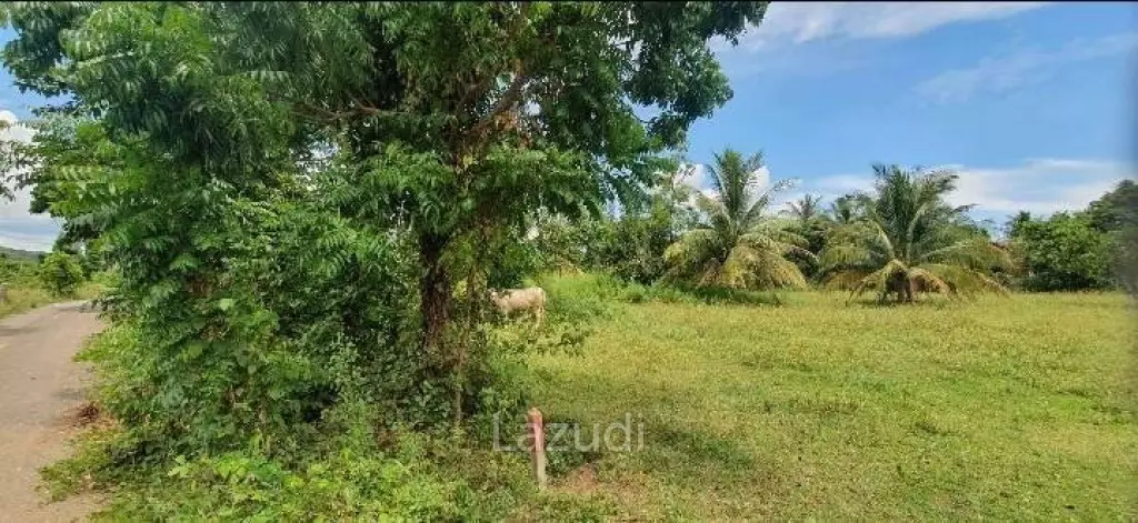 1-3-10.1 Rai Land Plot 2 Mins To The Beach