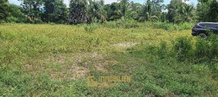 1-3-10.1 Rai Land Plot 2 Mins To The Beach