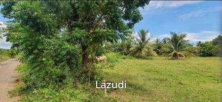 1-3-10.1 Rai Land Plot 2 Mins To The Beach