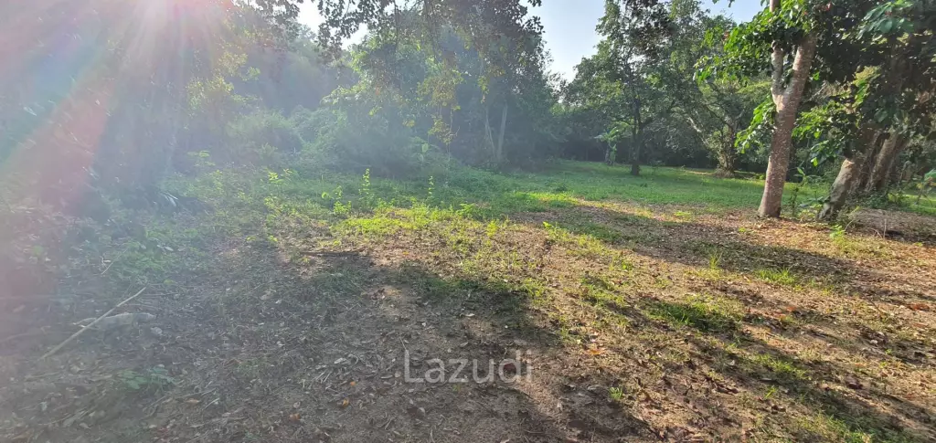 Land in Rob Wiang for sale