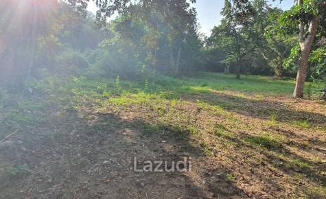 Land in Rob Wiang for sale