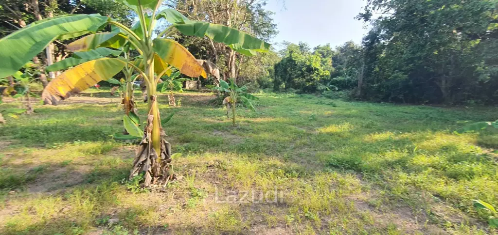 Land in Rob Wiang for sale