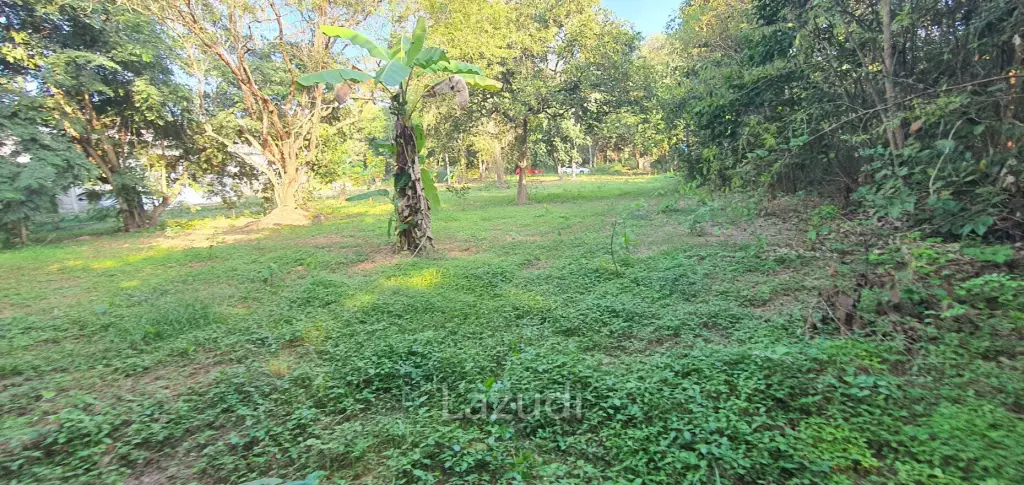 Land in Rob Wiang for sale