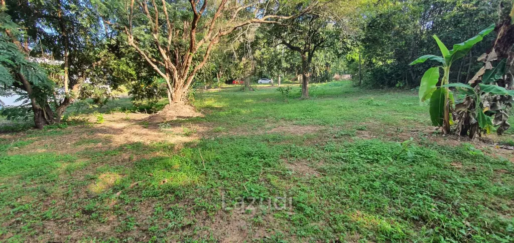 Land in Rob Wiang for sale