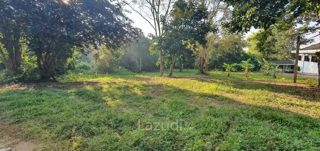 Land in Rob Wiang for sale