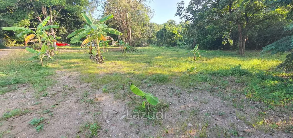 Land in Rob Wiang for sale