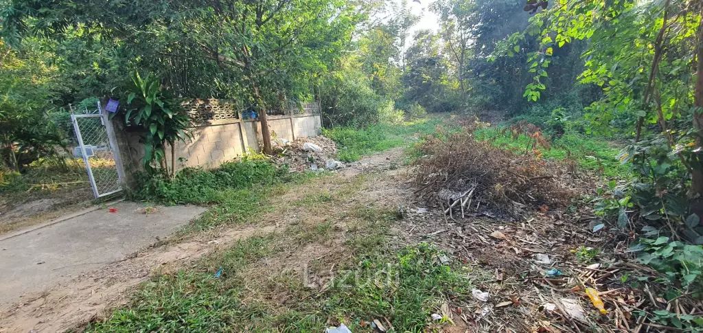 Land in Rob Wiang for sale