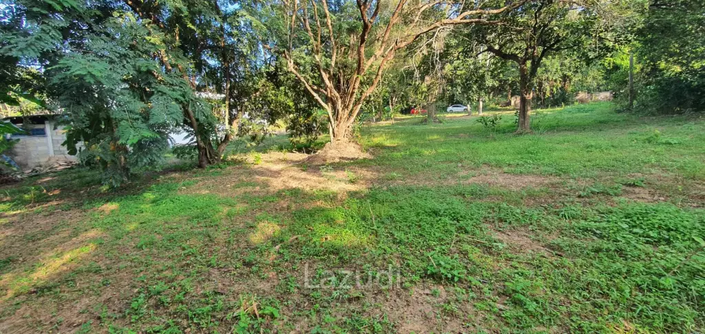 Land in Rob Wiang for sale