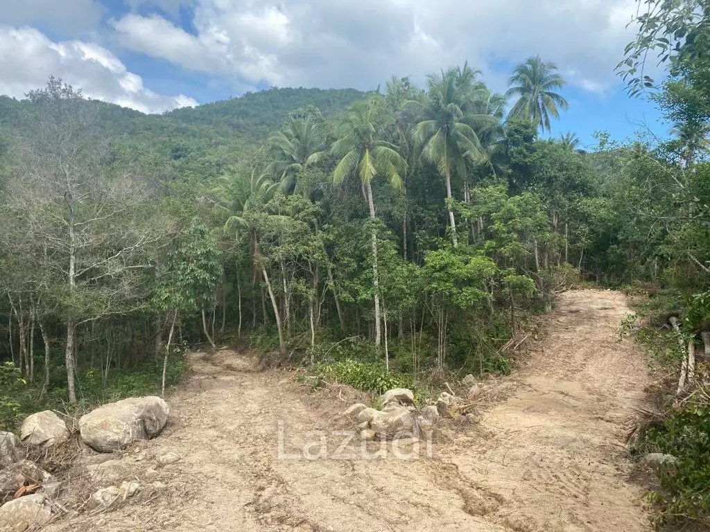 Riverside Bliss: Exclusive Land Development with Mountain Views in Sritanu, Koh Phangan