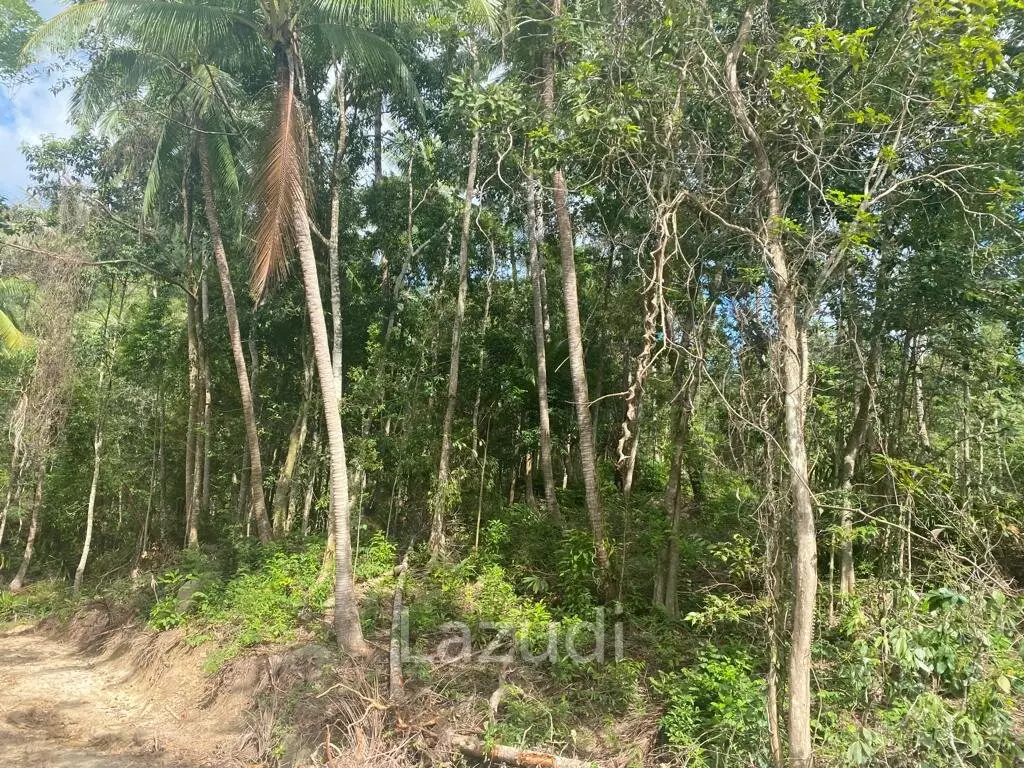 Riverside Bliss: Exclusive Land Development with Mountain Views in Sritanu, Koh Phangan