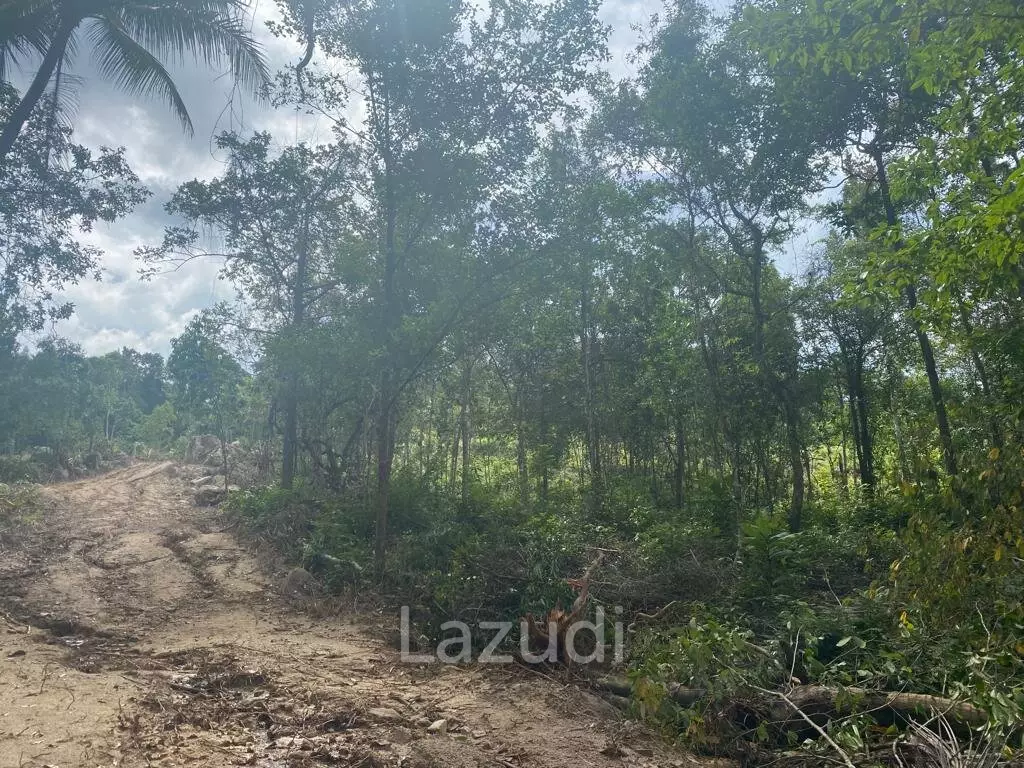 Riverside Bliss: Exclusive Land Development with Mountain Views in Sritanu, Koh Phangan