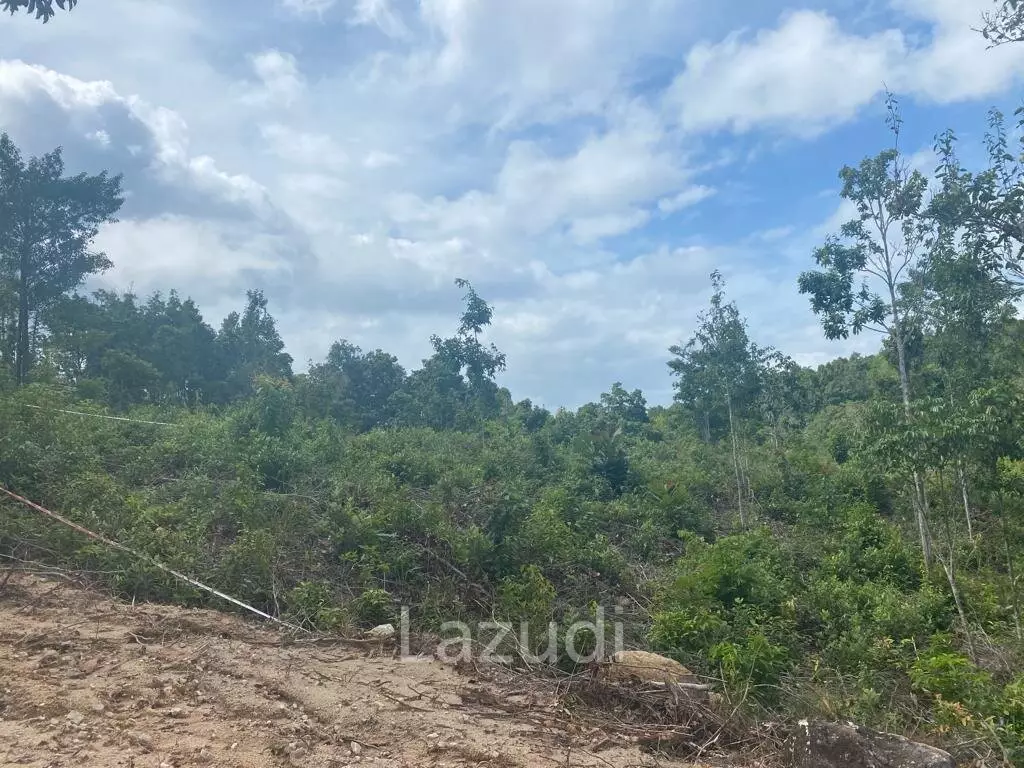Riverside Bliss: Exclusive Land Development with Mountain Views in Sritanu, Koh Phangan