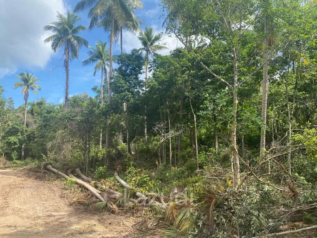 Riverside Bliss: Exclusive Land Development with Mountain Views in Sritanu, Koh Phangan