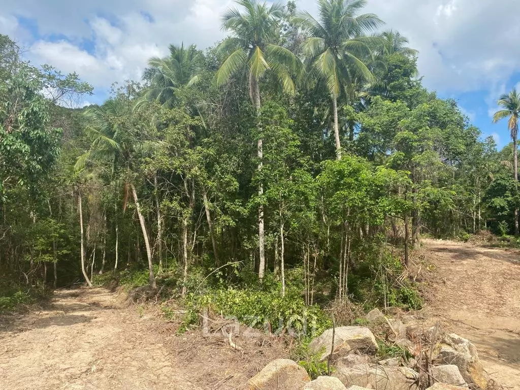 Riverside Bliss: Exclusive Land Development with Mountain Views in Sritanu, Koh Phangan