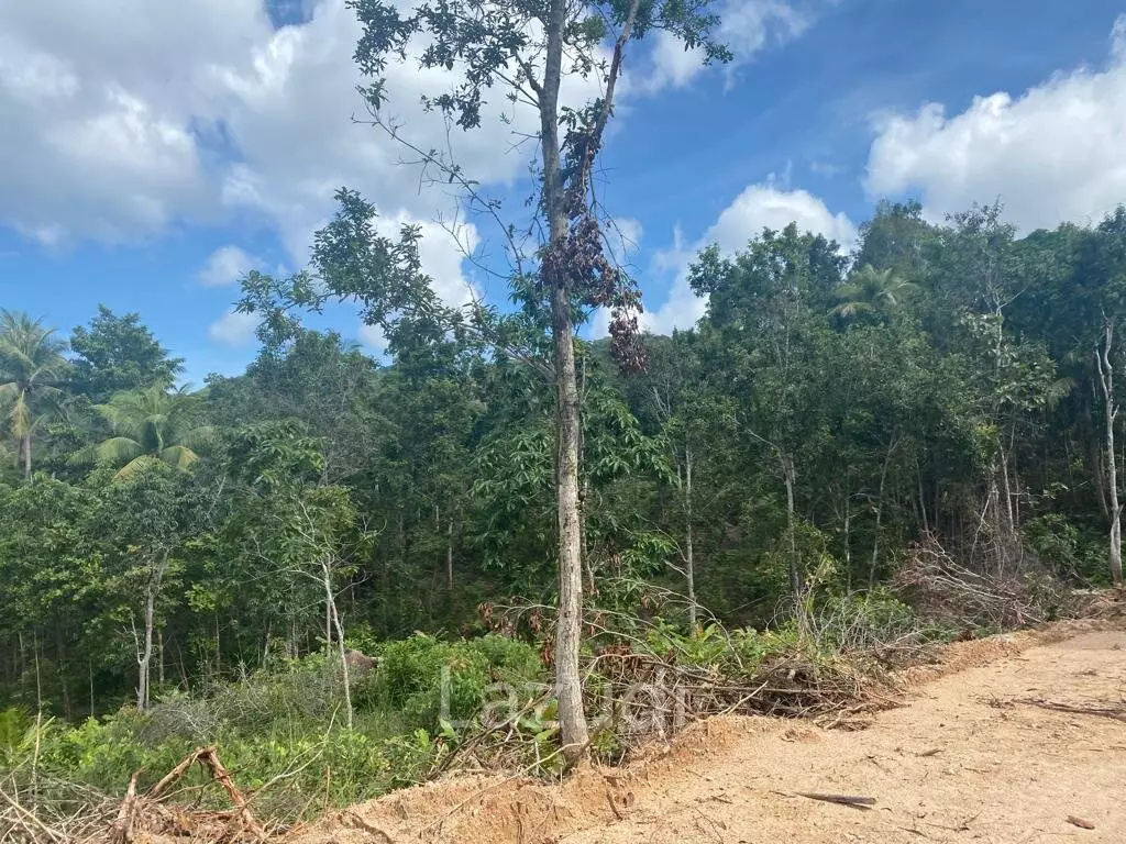 Riverside Bliss: Exclusive Land Development with Mountain Views in Sritanu, Koh Phangan