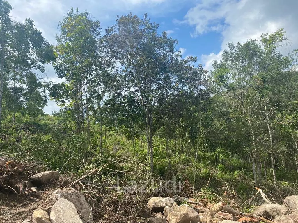 Riverside Bliss: Exclusive Land Development with Mountain Views in Sritanu, Koh Phangan