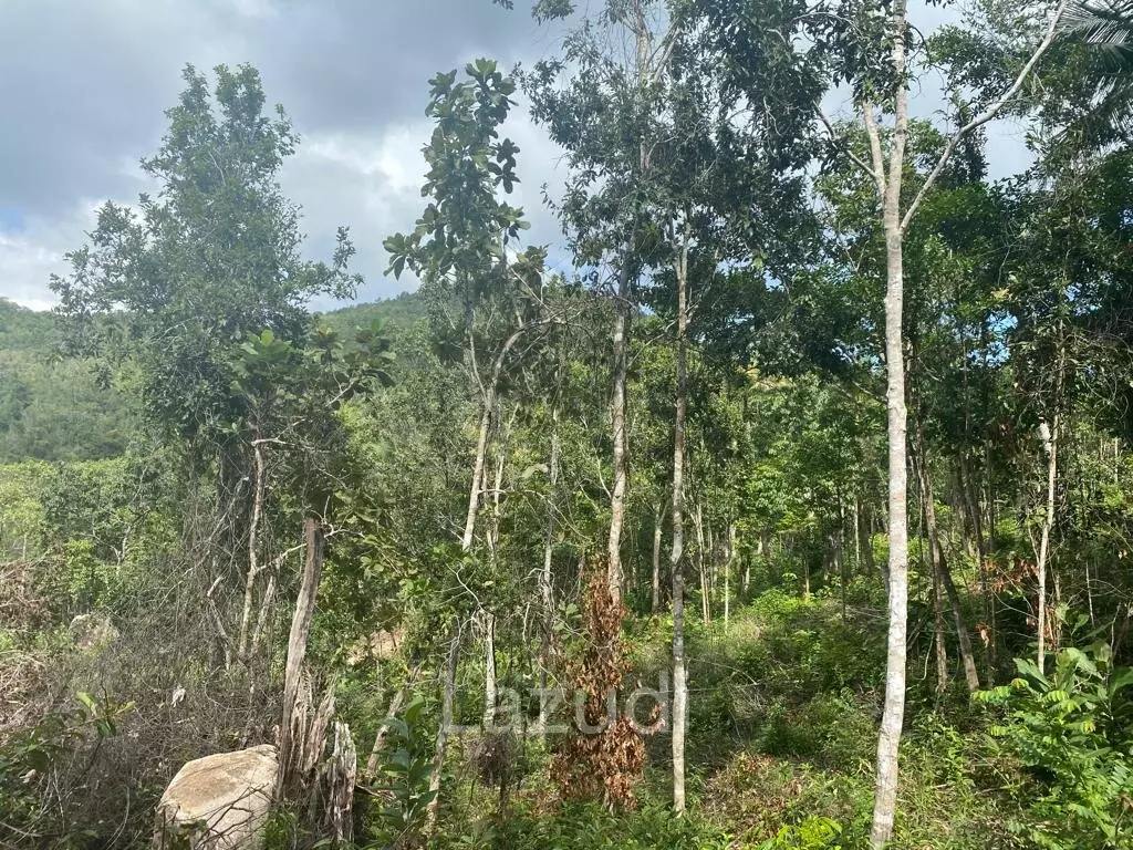 Riverside Bliss: Exclusive Land Development with Mountain Views in Sritanu, Koh Phangan