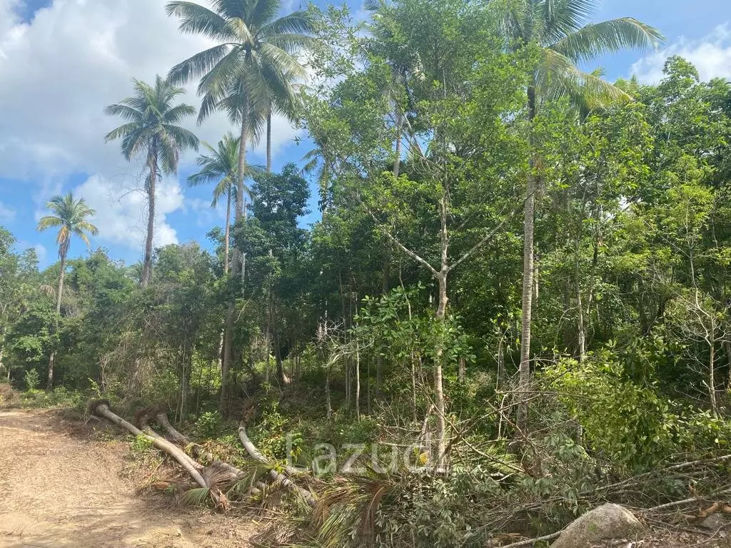 Riverside Bliss: Exclusive Land Development with Mountain Views in Sritanu, Koh Phangan