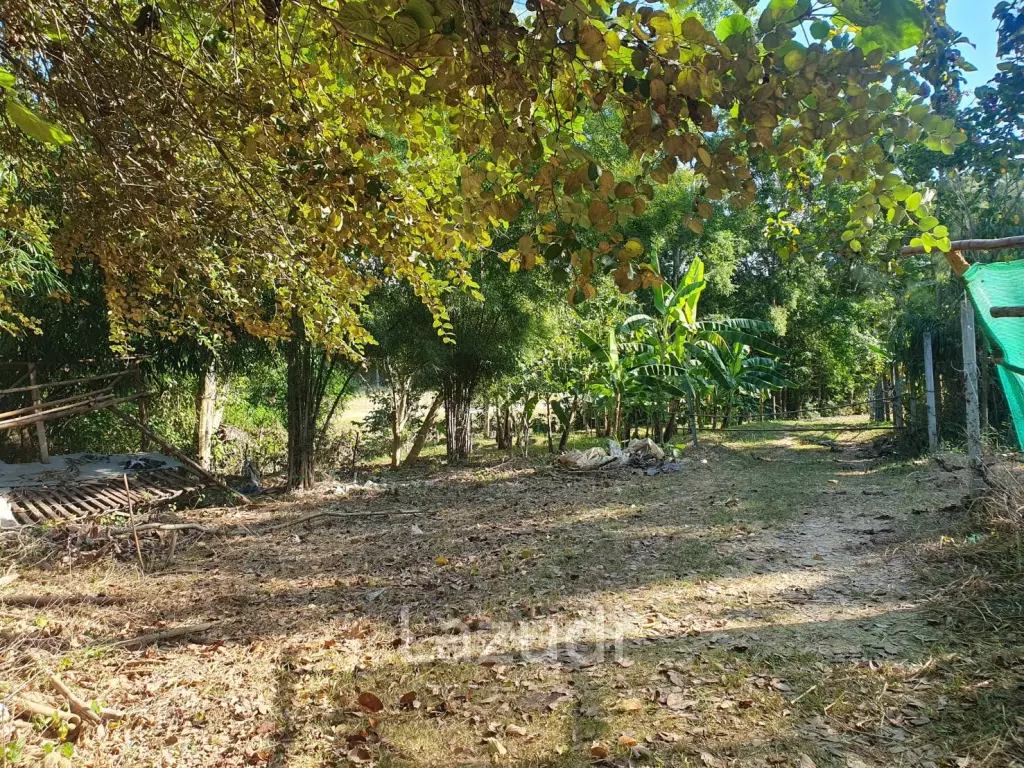 3368 SQ.M Nice Land Close to Main Road for Sale