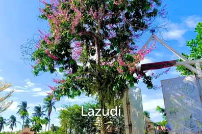 Charming Farm and Cafe for Sale In HuayYai