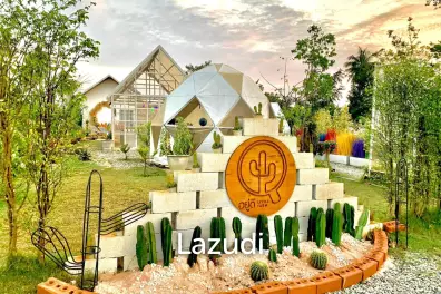 Charming Farm and Cafe for Sale In HuayYai