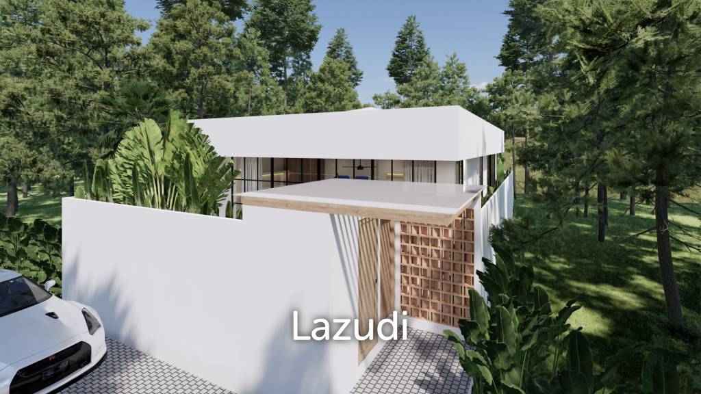 Great Development in Bingin