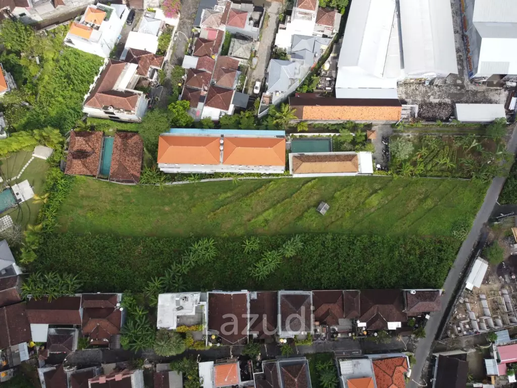 Fantastic Land for 38 Year lease in Canggu