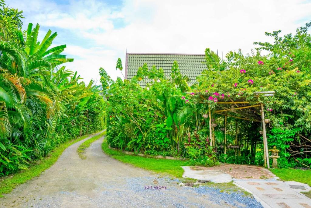 A Property of 2400 Square Meters with Bungalows ,studio and House at Nai Yang Phuket.