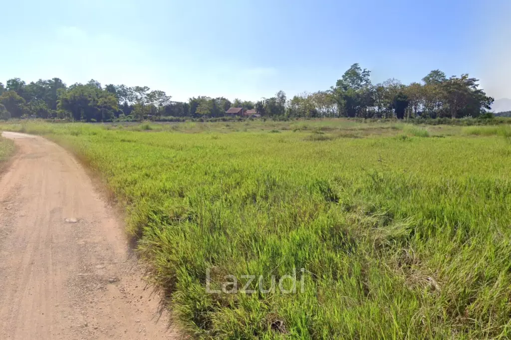 ที่ดิน 9 ไร่สำหรับขายใกล้ดอยสะโง้ วิวภูเขา