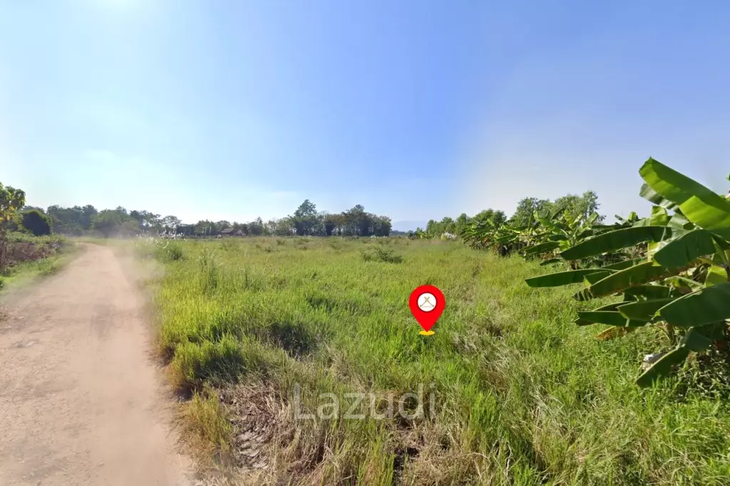 ที่ดิน 9 ไร่สำหรับขายใกล้ดอยสะโง้ วิวภูเขา