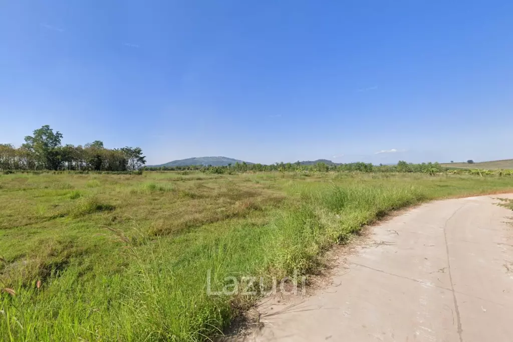 ที่ดิน 9 ไร่สำหรับขายใกล้ดอยสะโง้ วิวภูเขา