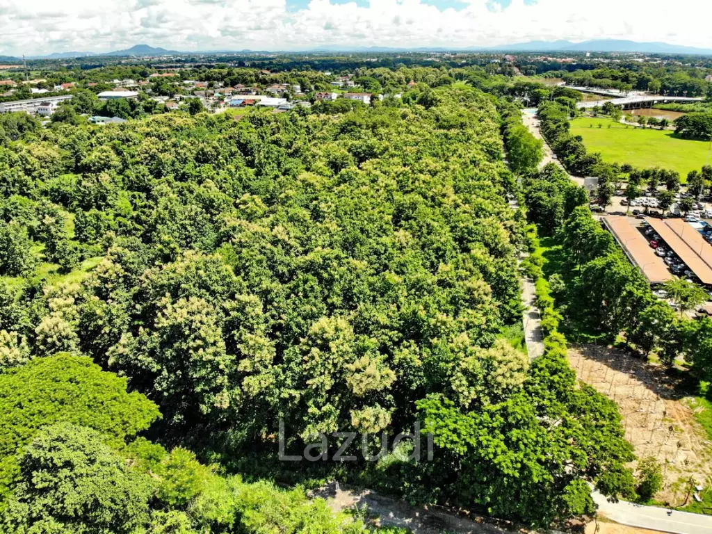 Land adjacted to river with teak trees for sale