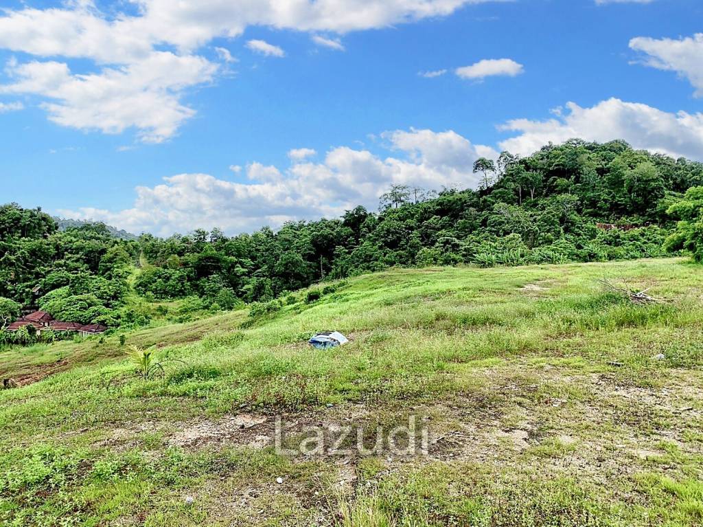 Expansive Hillside Land for Sale in Kathu, Phuket – Ideal for Development