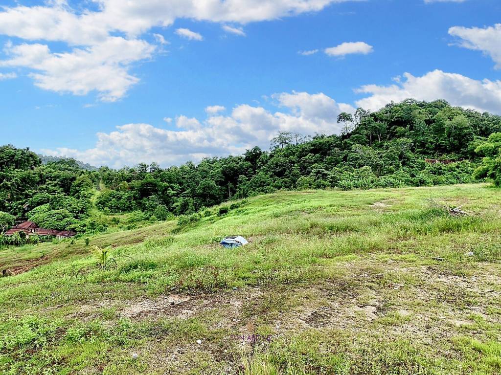 Expansive Hillside Land for Sale in Kathu, Phuket – Ideal for Development