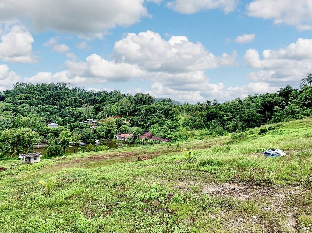 Expansive Hillside Land for Sale in Kathu, Phuket – Ideal for Development