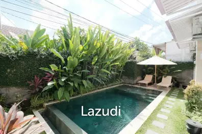 Well Located Apartments + Shophouse in Canggu
