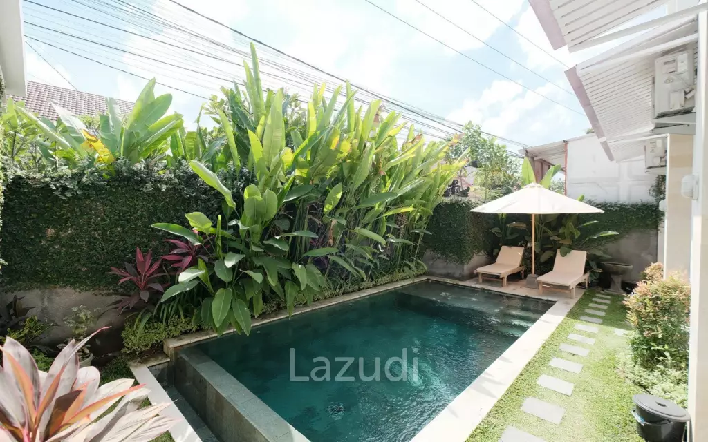 Well Located Apartments + Shophouse in Canggu