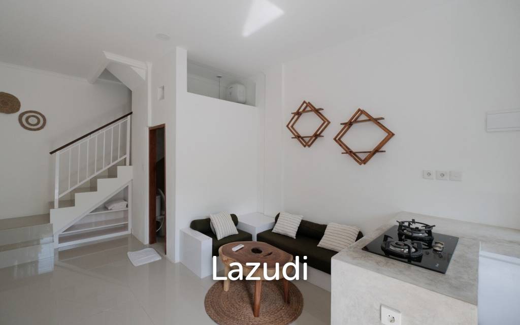 Well Located Apartments + Shophouse in Canggu