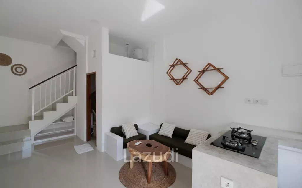 Well Located Apartments + Shophouse in Canggu