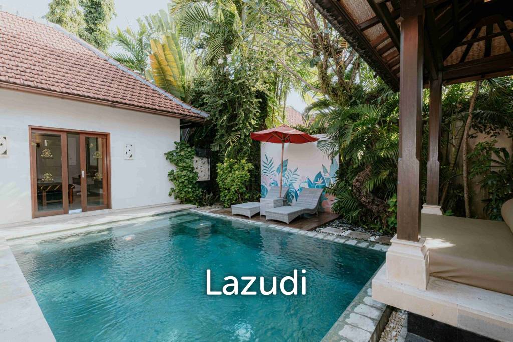 Seminyak Investment Gem