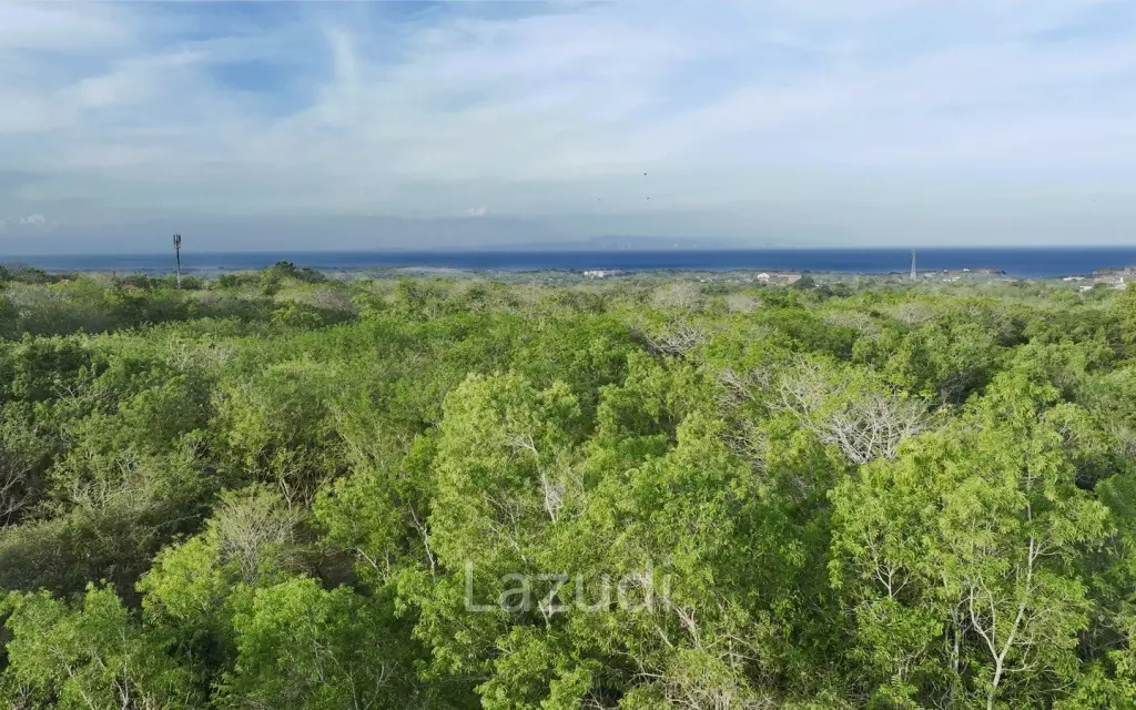 Hillside Land Plot, with Stunning Ocean Views