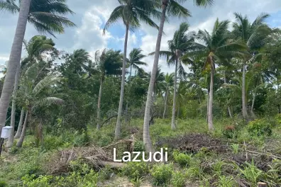 Nature's Canvas: 644 sqm Land on Coconut Lane, Koh Phangan