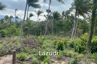 Nature's Canvas: 644 sqm Land on Coconut Lane, Koh Phangan