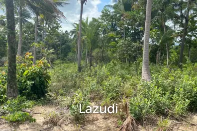 Nature's Canvas: 644 sqm Land on Coconut Lane, Koh Phangan